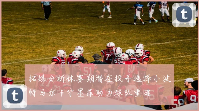 拓媒分析休赛期潜在投手选择小波特马尔卡宁墨菲助力球队重建
