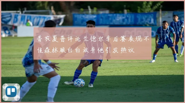香农夏普评论兰德尔季后赛表现不佳森林狼白白放弃他引发热议